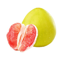 Professional fresh pomelo grapefruit